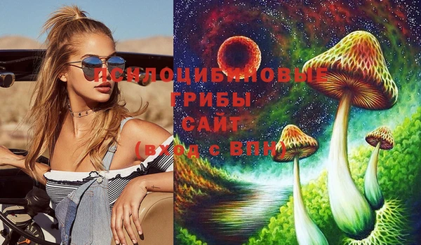 гашик Каменск-Шахтинский